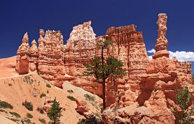 058 bryce canyon, peek a boo trail.JPG